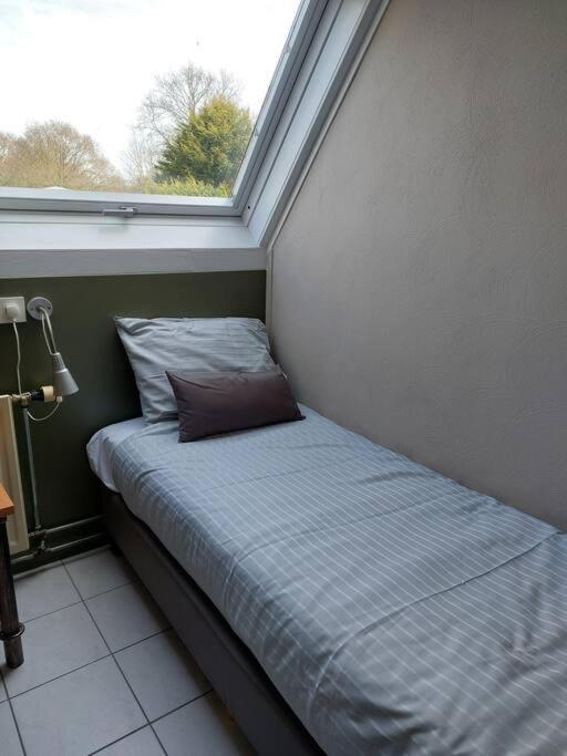 Boszicht aan de Kust 2 Appartement Oostkapelle Buitenkant foto